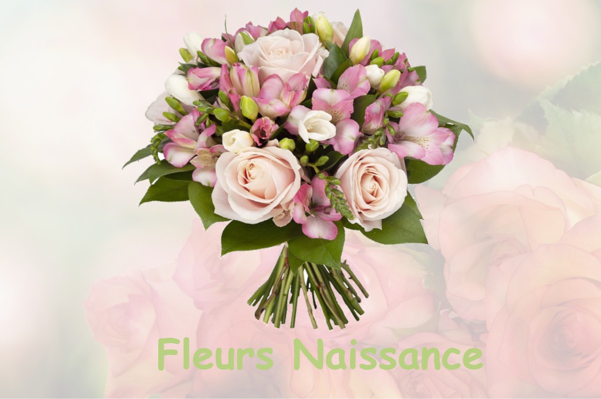 fleurs naissance PLAGNOLE