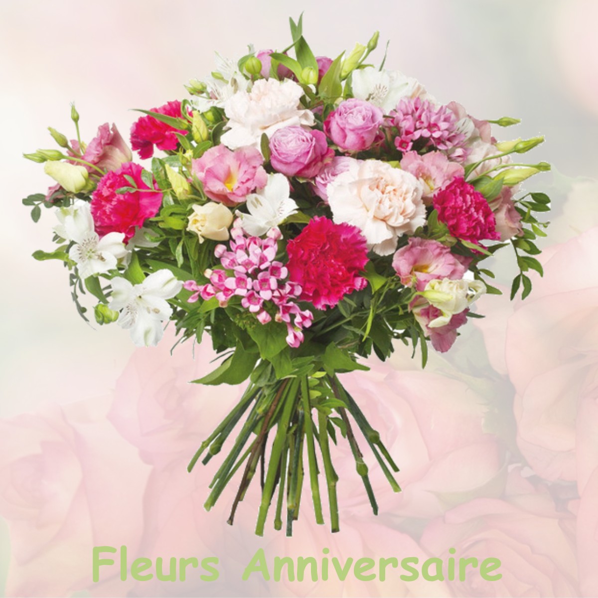 fleurs anniversaire PLAGNOLE