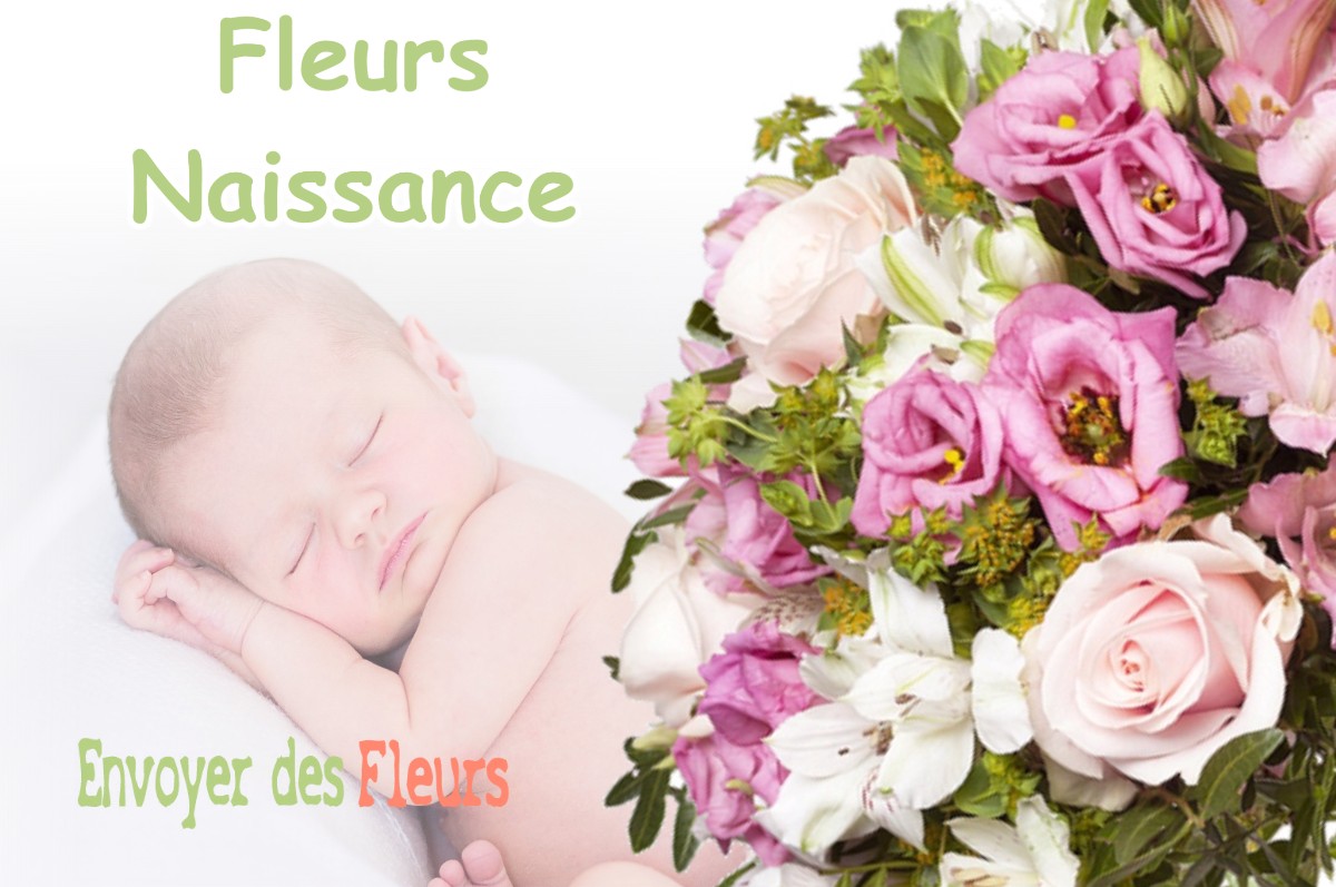 lIVRAISON FLEURS NAISSANCE à PLAGNOLE