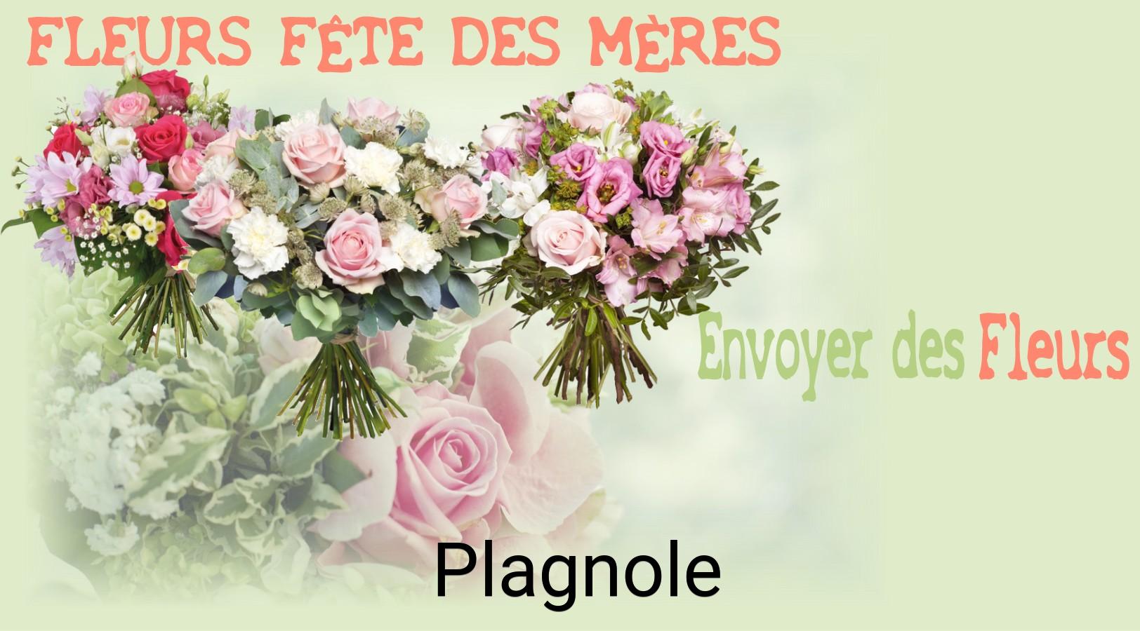 Bouquet de Fête des Mères livré à Plagnole